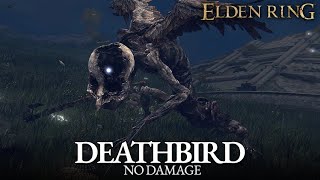 Deathbird Boss Fight No Damage  Limgrave Elden Ring [upl. by Yar]