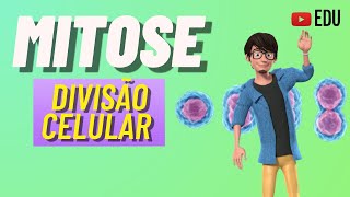 MITOSE  Divisão Celular  ANIMAÇÃO [upl. by Jopa]