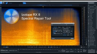 Izotope RX8 Spectral Repair Tool  Explained in detail [upl. by Ethelyn]