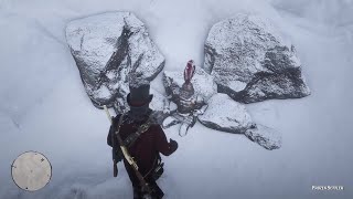 Frozen SettlerMorion Helmet Location Red Dead Redemption 2 [upl. by Adlihtam]