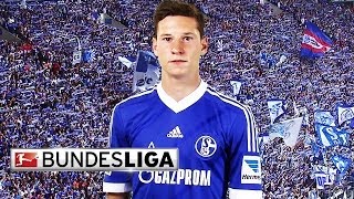 Julian Draxler  Top 5 Goals [upl. by Joachim350]