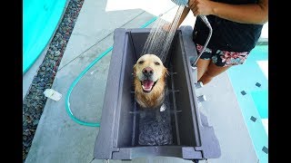 PUPPY LOVES HIS NEW CUSTOM DOG BATH  Super Cooper Sunday 157 [upl. by Aivatnuhs]