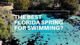 THE BEST FLORIDA SPRING for Swimming  Florida Springs  Silver Glen Springs  Ocala National Forest [upl. by Maurizio815]