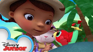 Tail Spin  Doc McStuffins Ultimate Safari  Disney Junior [upl. by Petigny]