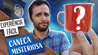 EXPERIÊNCIA SUPER FÁCIL Caneca misteriosa 🔵Manual do Mundo [upl. by Hertzog]