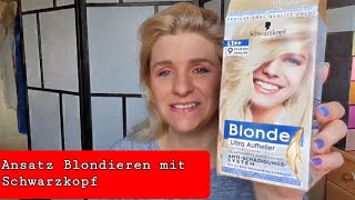 Ansatz selber Blondieren Schwarzkopf Blonde Ultra Aufheller aus der Drogerie [upl. by Nylissej]