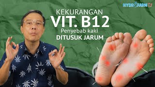 GEJALA KEKURANGAN VITAMIN B12 [upl. by Henke]