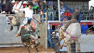 12 TORNEO NACIONAL DE TOROS DE REPAROS USA 2019 FORT WORTH TEXAS [upl. by Legnaros]