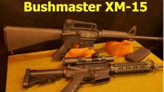 Bushmaster XM15 Carbine M4 Review [upl. by Ilise]