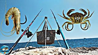 pêche en mer méditerranée 🇫🇷🎣 [upl. by Aubigny]