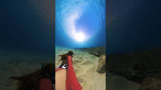 Let’s swim thru a school of fish freediving freediver underwater oceansounds asmrvideo asmr [upl. by Templeton]