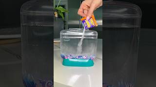 Growing Aqua Dragons and Sea Monkeys 1 week update [upl. by Ajroj]