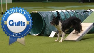 Agility Championship Final  Crufts 2017 [upl. by Rozanne]