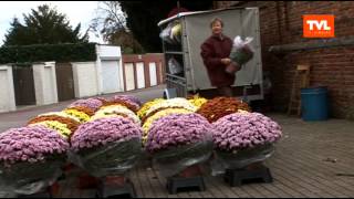 Hasselt Allerheiligen bloemenmarkt [upl. by Riay]