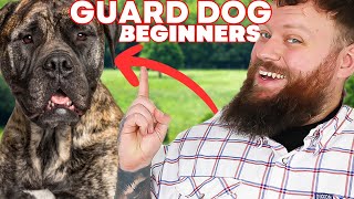 The Best GUARD DOG BREEDS FOR FIRST TIME OWNERS [upl. by Robma]