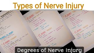 Nerve Injury  Degrees of Nerve Injury  Types of Nerve Injury  Nerve Damage [upl. by Cirre]