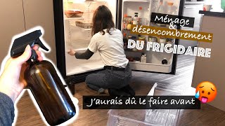 DÉSENCOMBREMENT DE MON FRIGIDAIRE  ROUTINE MÉNAGE FRIGO MINIMALISTE [upl. by Kiersten]