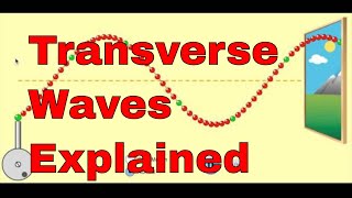 transverse waves explained [upl. by Alleram586]