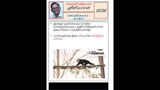 KV0036 KorikkalaamVaanga VetriVidiyal RopeBridge [upl. by Brathwaite]