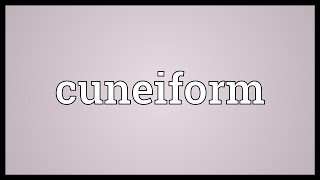 Cuneiform Meaning [upl. by Ennayelsel]