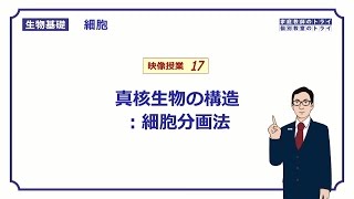 【生物基礎】 細胞17 細胞分画法 （１９分） [upl. by Aihsekyw980]