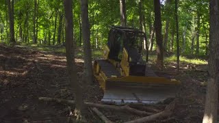 Cat® D4 Forestry Dozer at Work in the Woods [upl. by Alderson]