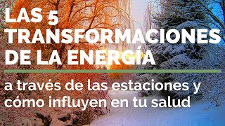 5 TRANSFORMACIONES DE LA ENERGIA influencia de los cambios estacionales en tu salud Macrobiótica [upl. by Blader]