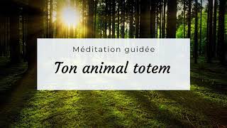 Méditation guidée  Animal totem [upl. by Maisel]