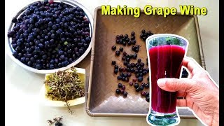 How To Make Grape Wine at Home  Homemade Red Wine Recipe  Craft Village [upl. by Ocsirf]