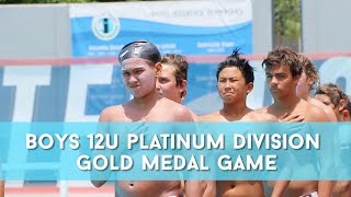 2019 Junior Olympics 12u Boys Platinum Division Gold Highlights [upl. by Buckler259]