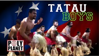 Tatau Boys  Samoan Slap Dance [upl. by Ytirahc]