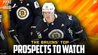 Which Bruins prospects will break into the lineup this year  Pucks with Haggs [upl. by Madalyn697]