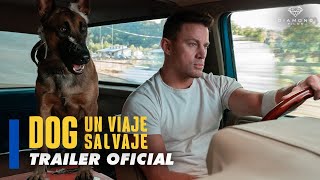 DOG UN VIAJE SALVAJE  TRAILER OFICIAL [upl. by Sivla919]