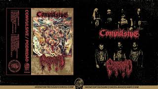 CONVULSVE amp PODRIDAO  CONVULSIVELY ROTTENNESS Iron Fortress Records [upl. by Lyndell214]