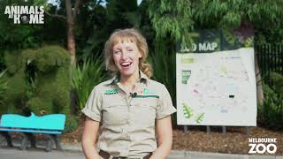 Virtual Tour of Melbourne Zoo [upl. by Tuhn]