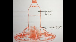 To show that liquid exerts same pressure in all the direction at the same depth  Science Experiment [upl. by Genie807]