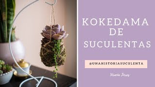 Como hacer un kokedama de suculentas [upl. by Culver]