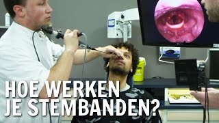 Hoe werken stembanden  De Buitendienst over je stem [upl. by Navi906]