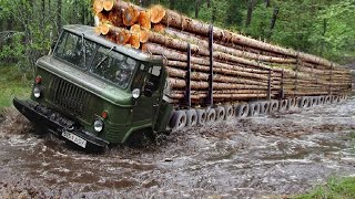 10 Extreme Dangerous Biggest Logging Wood Truck Driving Skill  Heavy Equipment Machines Working [upl. by Quick]