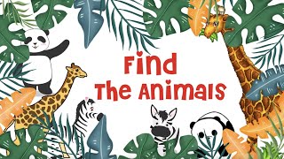 Find The Animals Physical Education Activity [upl. by Nomed]