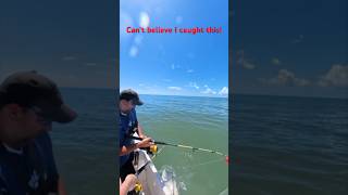 I can’t Believe I caught this Giant Fish in the Ocean captainJoey florida What fish is this [upl. by Irec]