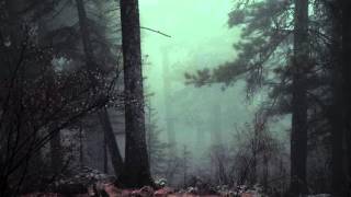 Scary Forest  Royalty Free  Ambience amp Sound Effects [upl. by Amliw162]