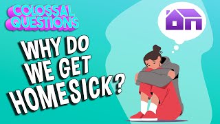 Why Do We Get Homesick  COLOSSAL QUESTIONS [upl. by Melodee108]