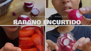 COMO HACER ENCURTIDO DE RÁBANO CASERO vlog de alexandra pajon [upl. by Cacia750]