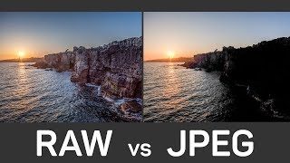 RAW vs JPEG Explained Take your photography to the next level [upl. by Harvard431]