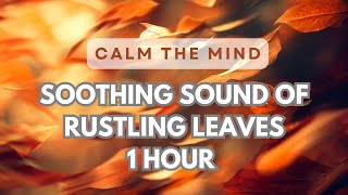 Calming Rustling Leaves  1 Hour White Noise for Meditation and Mindfulness [upl. by Aronid385]