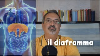 3 RILASSAMENTO e RESPIRAZIONE  il lavoro del DIAFRAMMA [upl. by Natanoj467]