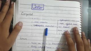 Ureter Diseases  Pathology 11th Lecture  Robbin [upl. by Jodi]