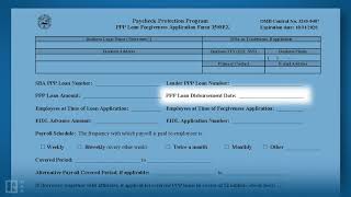 How to Complete the PPP Loan Forgiveness Application Form 3508EZ [upl. by Aimej]