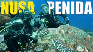 Scuba Diving Nusa Penida The MOST STUNNING Reefs In Bali 🇮🇩 [upl. by Aicaca707]